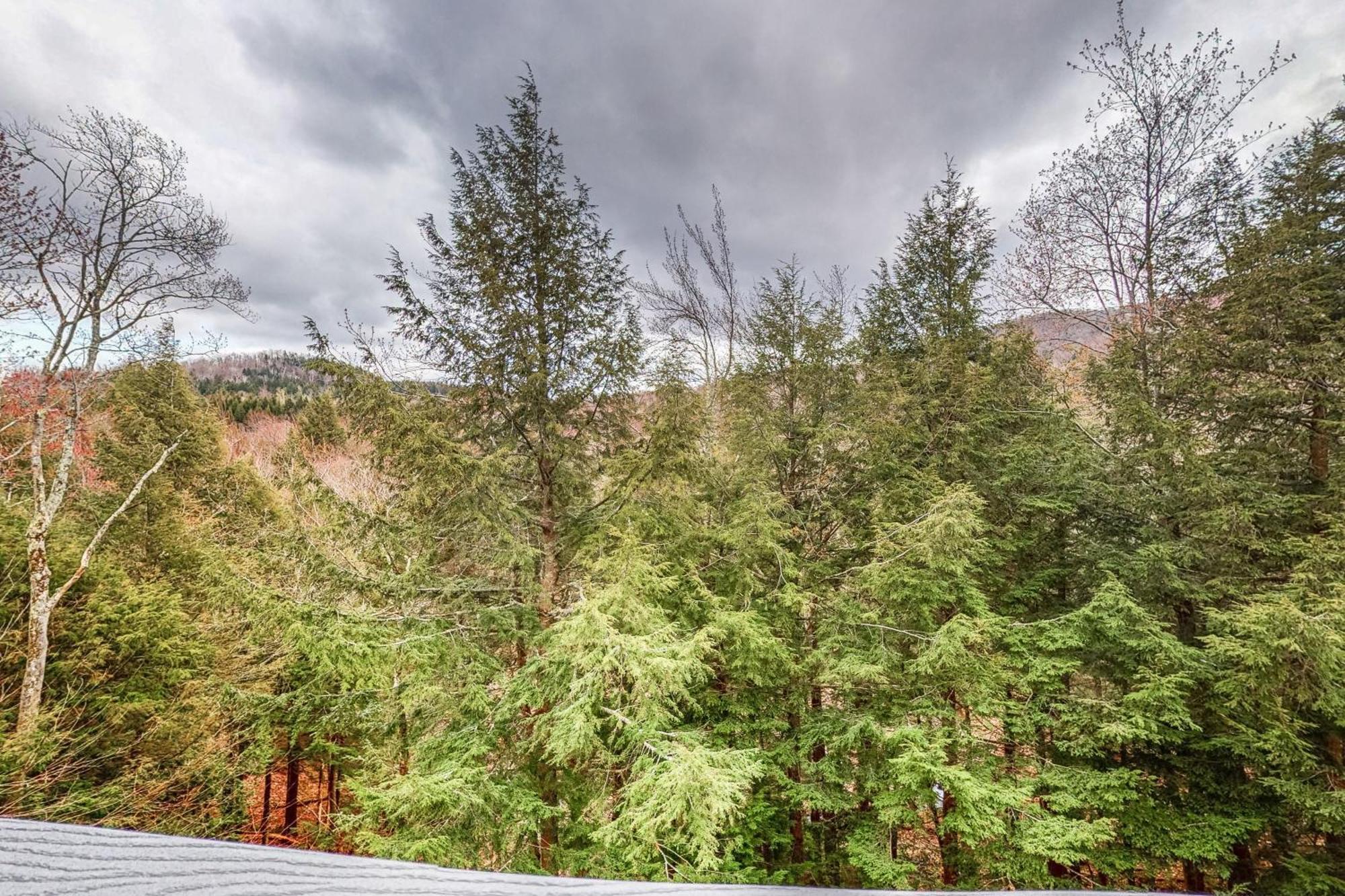 Bridges Resort Warren Екстериор снимка